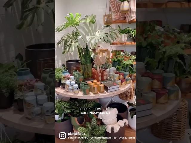 Beautiful Plant And Home Decor Store Tour - Plant Shopping - BESPOKE Home + Life