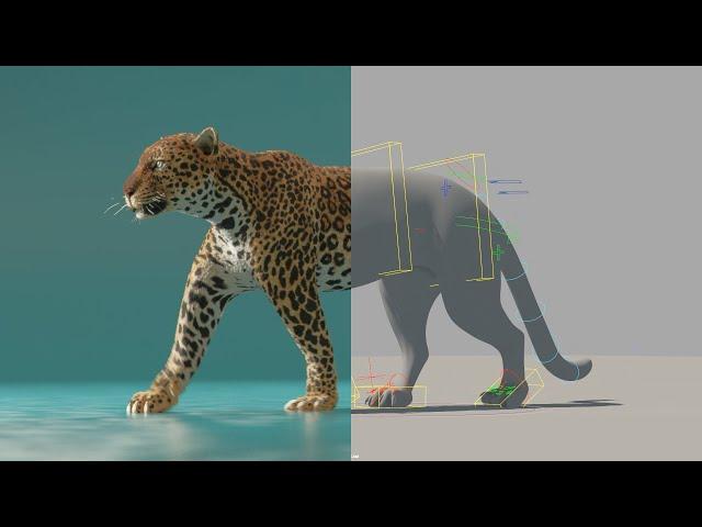 Leopard Walk Cycle - 3D Animation Breakdown