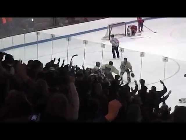 D3 hockey final   Scott McLean's winning OT for Newtown vs  Smith:Tolland