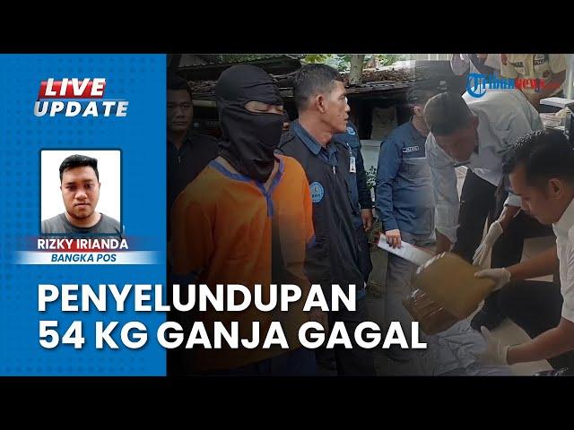 5 Orang Bawa Paket 54 Kg Ganja asal Sumut, BNNP Bangka Belitung Gagalkan Penyelundupan