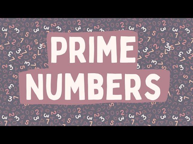 Prime Numbers Explained