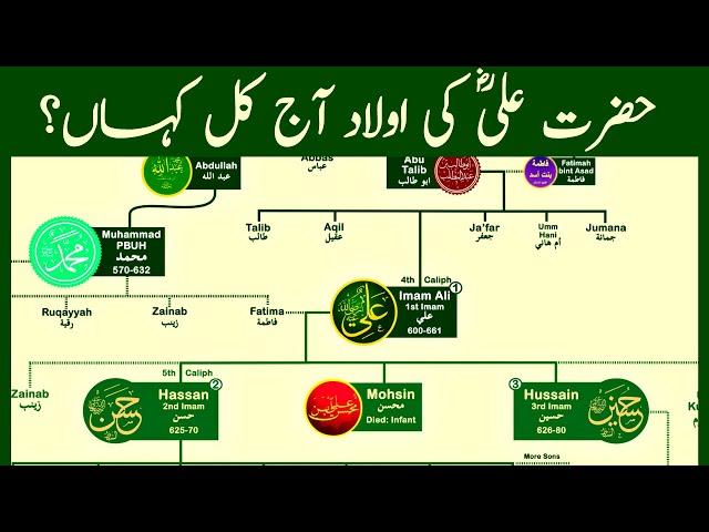 Family Tree of Hazrat Ali | The Most Influential Muslim of All Time | Part 01 | Nasheed  @calmislamicmusic