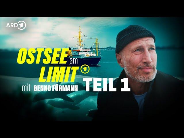 Wie geht es der Ostsee? Benno Fürmann auf Entdeckungsreise | TEIL 1 der Doku