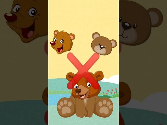animals cartoon for baby|bear animals|animals wrong head #shorts #ytshorts #wronghead #animals