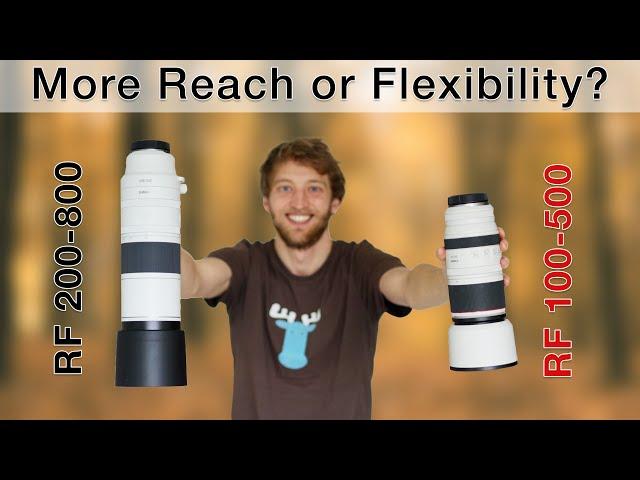 RF200-800 vs RF100-500 + 1.4? Which one is the better option for YOU? Real World Comparison