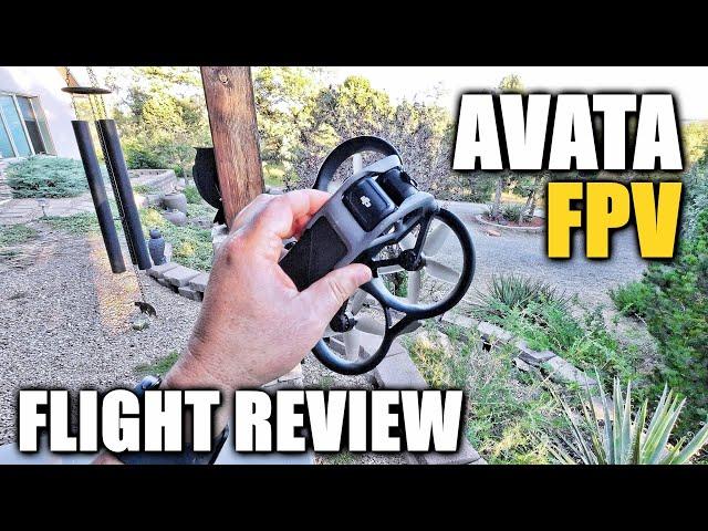 DJI AVATA Flight Test Review In-Depth (Pro-View Combo) Head Tracking, Speed, CRASHING, Pros & Cons