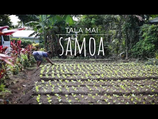 ‘I learned lots of skills in Australia’: Interview with Matulino Tooala (Samoan)