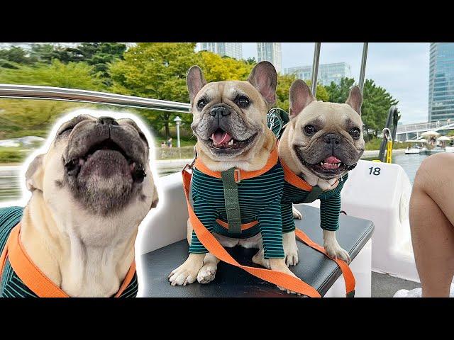 French Bulldog TANTRUM MELTDOWN First Time On A Boat