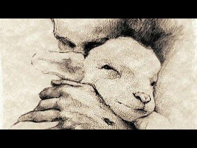 #ВЕГАНСТВО  — это протест против человеческой жесткости ко всему живому @ВЕГАН @ХРИСТОЛЮБ  #shorts