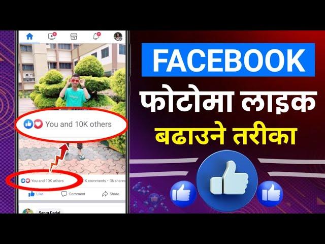 Facebook Photo Ma Like Kasari Badhaune | How To Increase Likes On Facebook Photo In Nepali