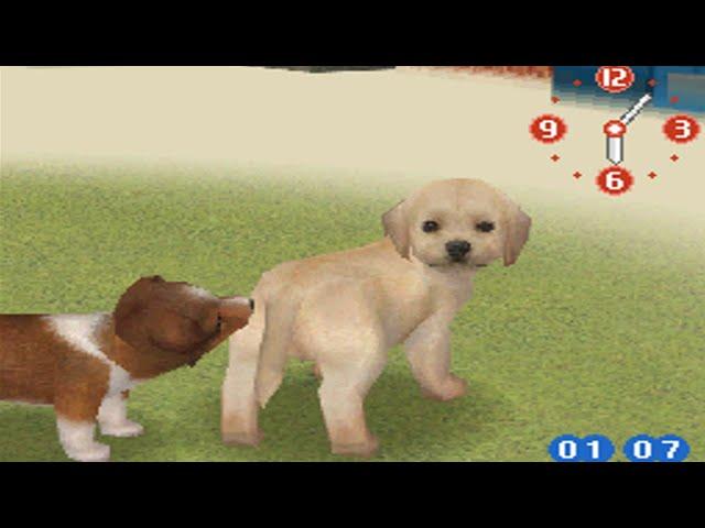 nintendogs raging and funny moments