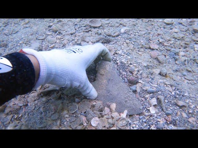 One in a Million Megalodon Tooth