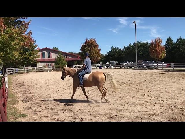 David Salter riding test