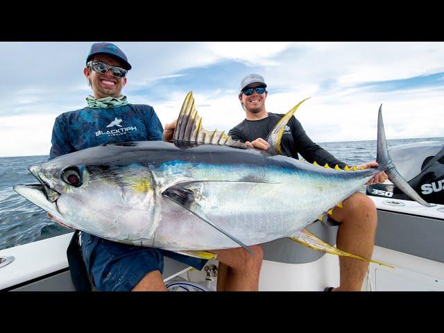 Monster Yellowfin Tuna!!