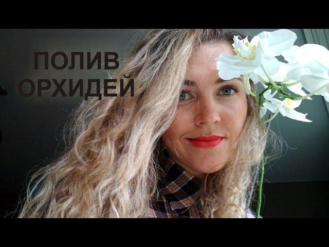 КАК ПОЛИВАТЬ ОРХИДЕИ  ПОДКОРМКИ  Популярная Ботаника