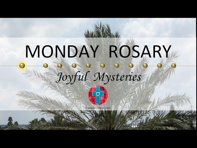 Monday Rosary • Joyful Mysteries of the Rosary  January 6, 2025 VIRTUAL ROSARY - MEDITATION