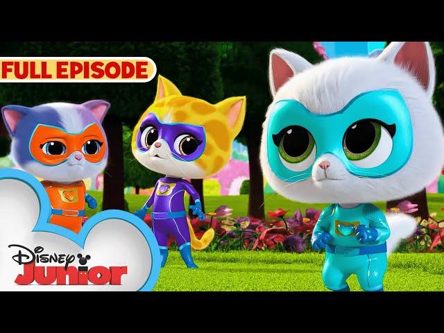 SuperKitties First Full Episode! | Get the Boot | S1 E1 Part 2 | @disneyjr