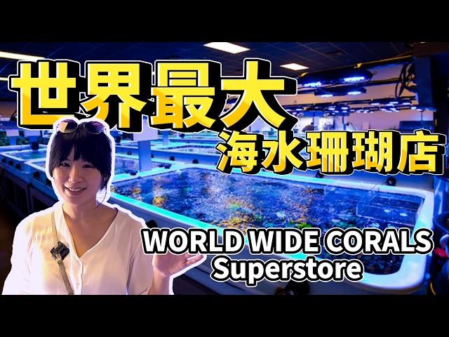 【藍箱水族】美國最強海水水族館！！海水業界的頂尖王者：World Wide Corals Superstore總店~(CC) @WorldWideCorals