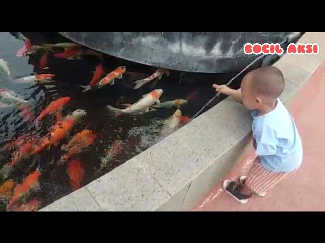 BOCIL Melihat Ikan @Ocean Park BSD Tangerang