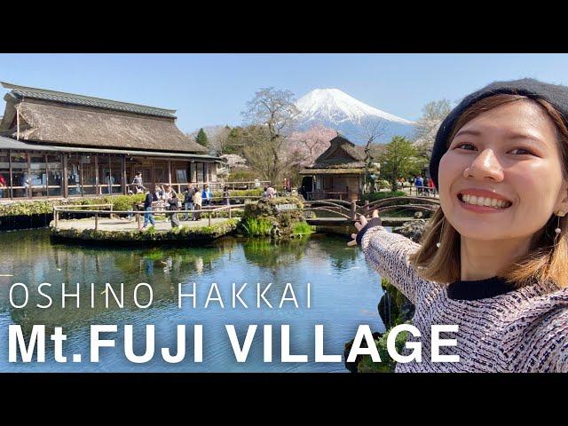 YAMANASHI Oshino Hakkai & Fujiyoshida Mt.Fuji with Sakura (cherry blossoms) Japan vlog