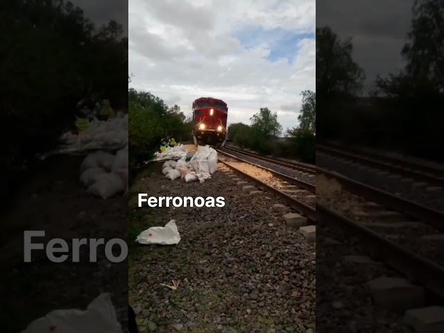 Cuidado con el Tren #ferromex  #train #ferronoas #trainsferromex #railway #railroad