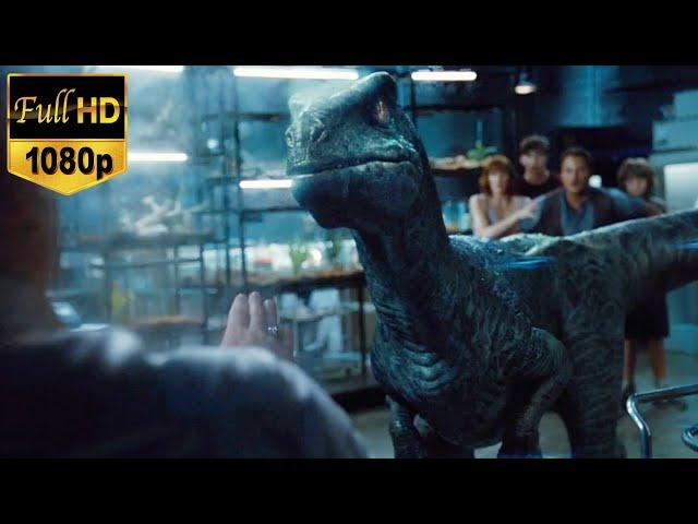 Jurassic world (2015) - Easy boy scene [HD 1080p]