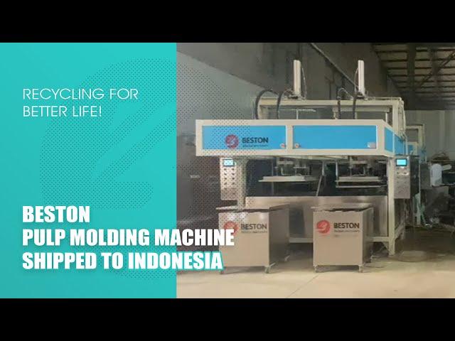 Global Case: Beston Pulp Molding Machine (Industrial Packaging Equipment) Shipped to Indonesia