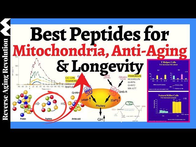 BEST Peptides for Health & Longevity - HOW These Short Amino Acid Chains Can Transform Your Health?