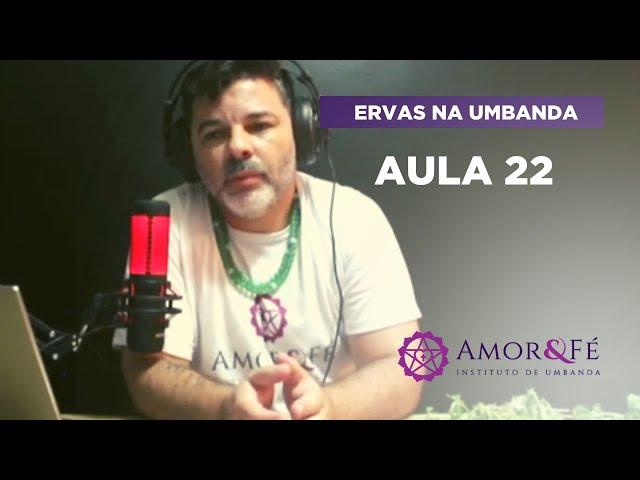 CURSO DE ERVAS NA UMBANDA | AULA 22  FINAL - POEJO