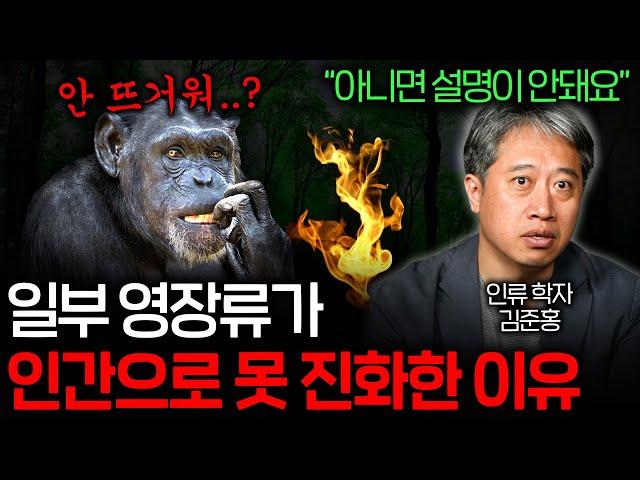 인류와 다른 영장류의 결정적인 차이를 만든 것은 뭘까? (퀀텀 점프..)