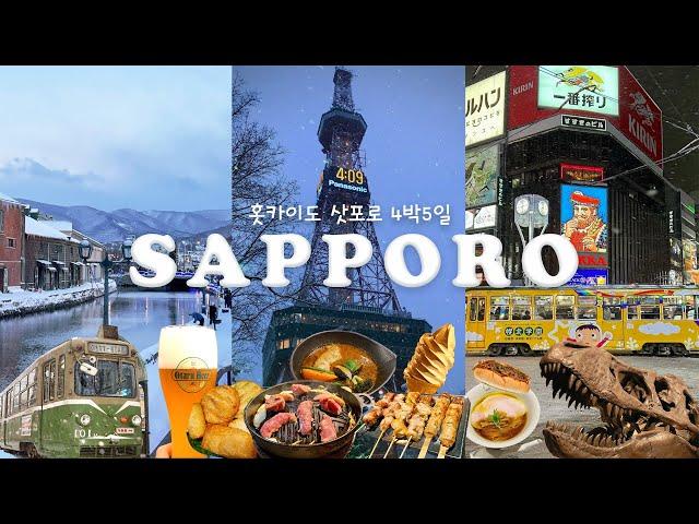 Christmas in SapporoㅣFrom local restaurants to attractionsㅣOtaru, Jozankei, Onsenㅣ4K Hokkaido vlog