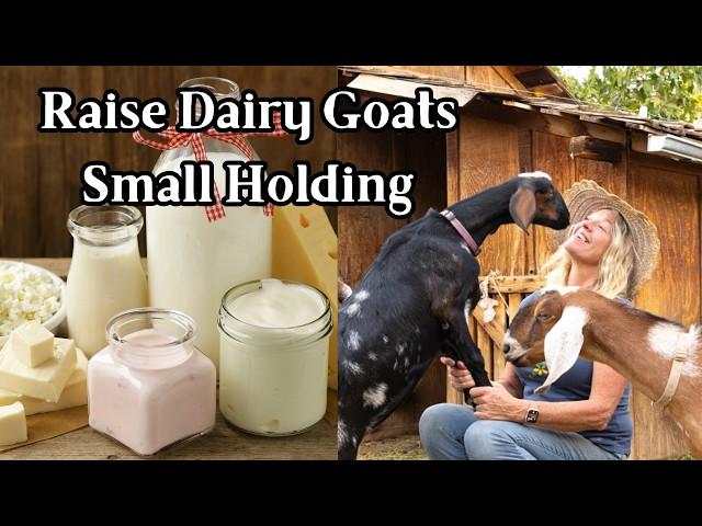 Beginner’s Guide to Dairy Goats on Small Acreage + Fresh Butter and Cream