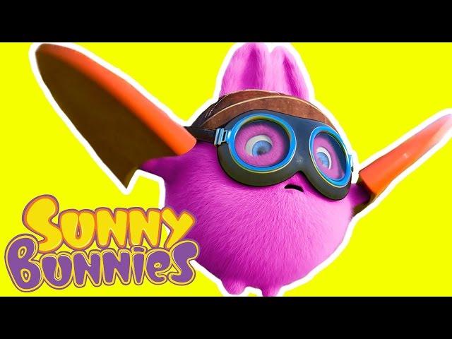 Cartoon   Sunny Bunnies - BRAVE PILOT  Funny Videos For Kids