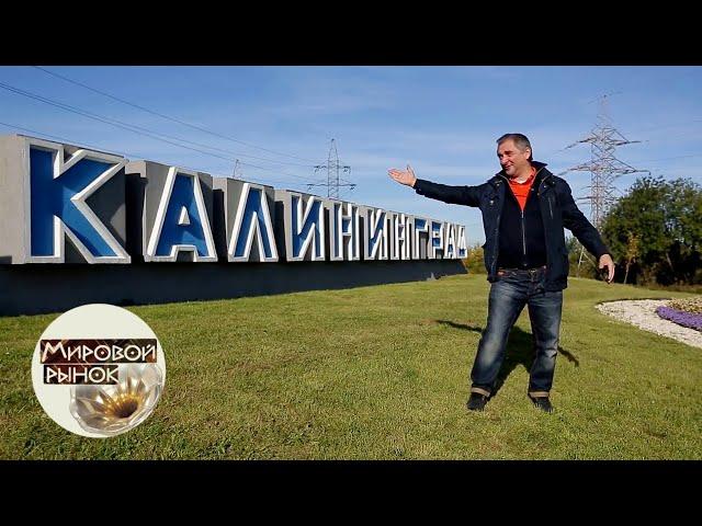Калининград. Янтарь Отечества  Мировой рынок  Моя Планета