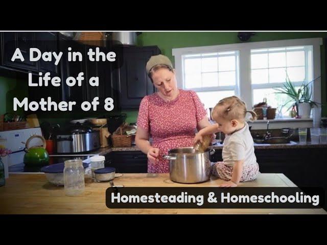 A Day in the Life of a Homeschool Mom of 8