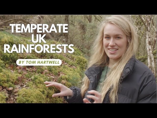 Temperate Rainforests of the UK