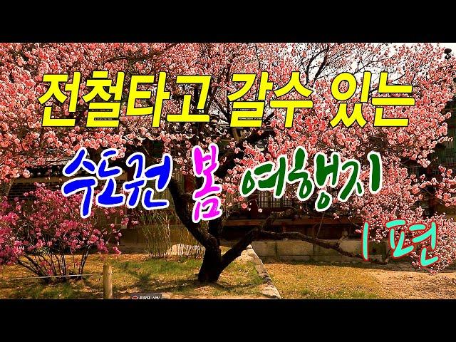 전철타고 갈 수 있는 수도권 봄 여행지 9곳/ 아름다운 봄여행지 (내용오류 묵동입니다)