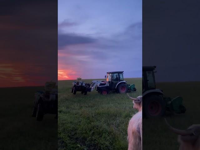 4 wheel breaks down,tractor to the rescue #summershadefarms #kentucky #homestead #farmlife #tractor