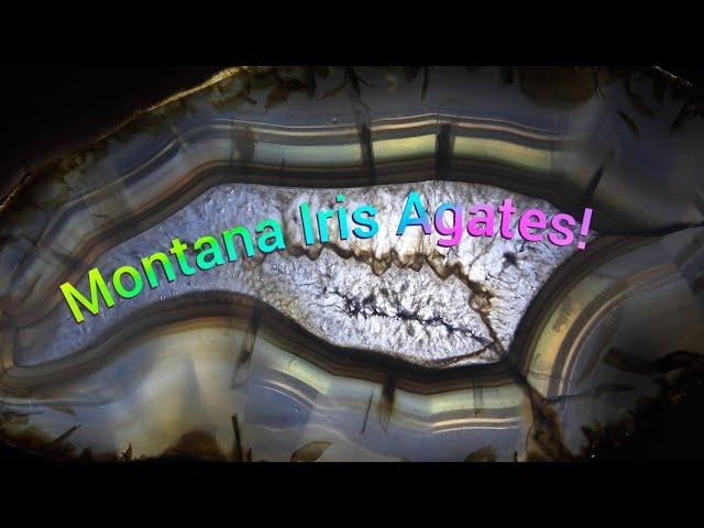 Montana Iris Agates Never Disappiont!! #thefinders #irisagate #minerals #montanaagate #406montana