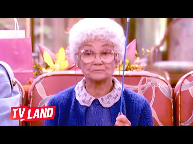 Sophia’s Best Insults (Compilation)  The Golden Girls | TV Land