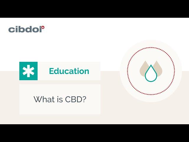 What is CBD? | Educational - Cibdol