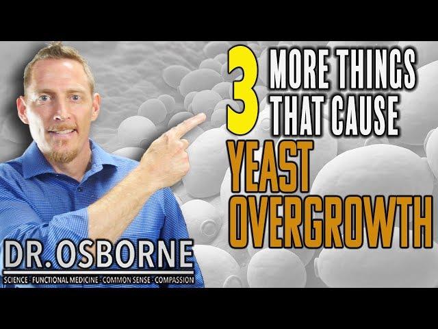 Yeast Overgrowth? These 3 Changes In You Diet Can Help Eliminate Candida