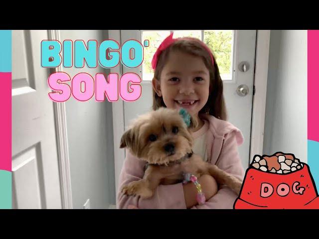 Bingo Song | Nursery Rhymes,  Children's Educational Video