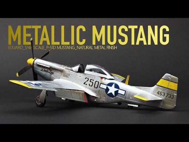 Eduard P-51D Mustang | 1/48 Scale | The Inner Nerd