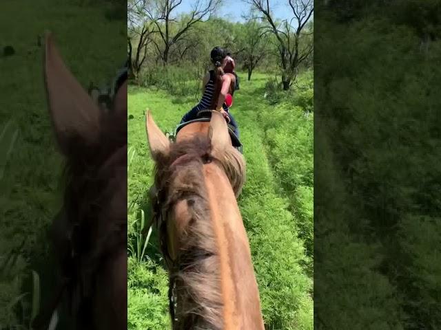 Paisley and ChicaLinda go for a trail ride in Doole, Texas