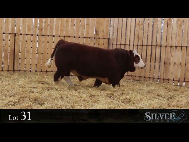 Prairie Partners Lot 31 - MARC 93L