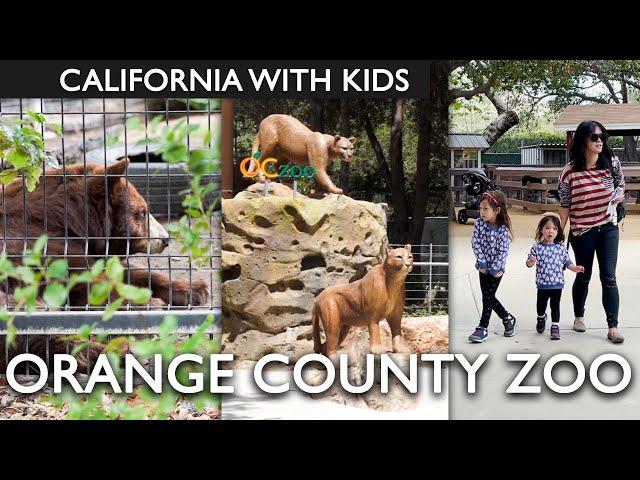 Orange County Zoo Review With Kids