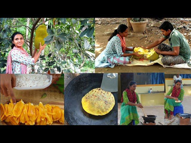 Jackfruit harvesting in our farm and making traditional sweet recipe| பலாப்பழம் அறுவடை|fresh fruits