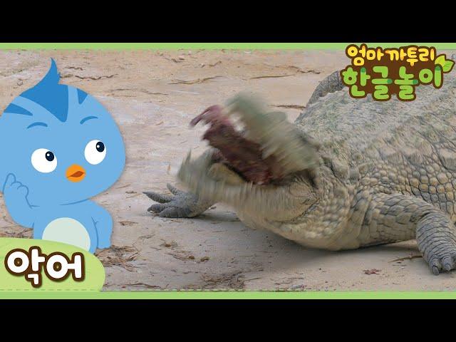 * Crocodile * | Learn Animals Name in Korean | Katuri | Learn Korean | Learn Animals