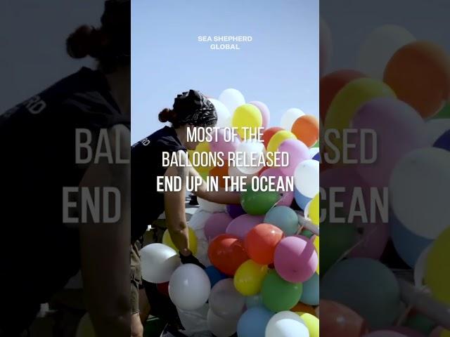 Don't let your celebrations become a #marinelife devastation. Say no to balloons!️